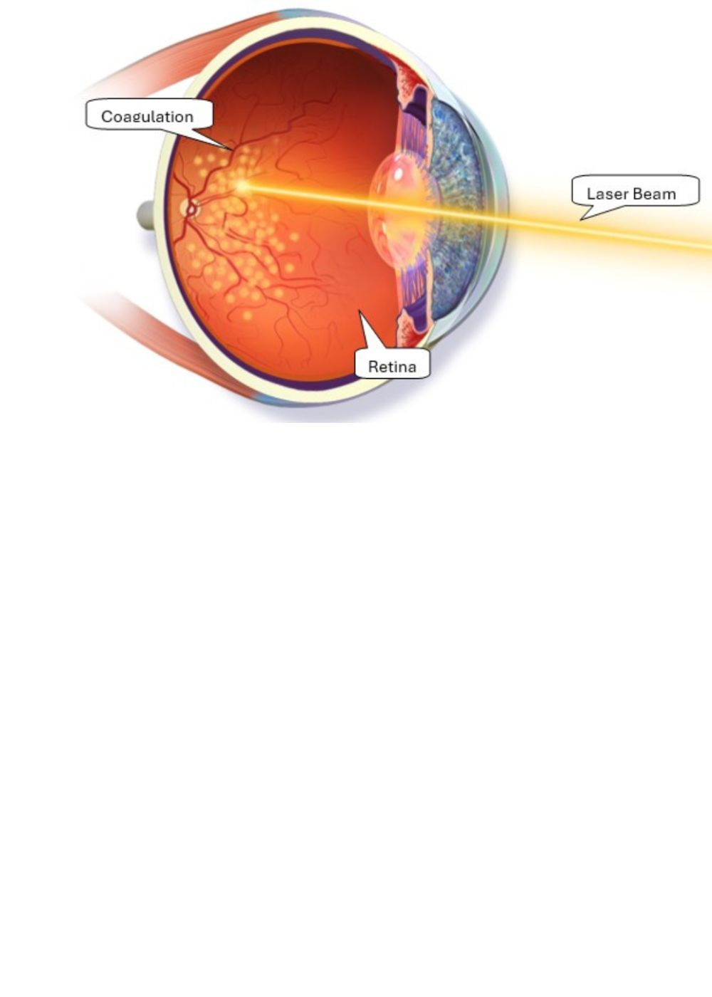 Untitled design - 2025-09-14T005914.064